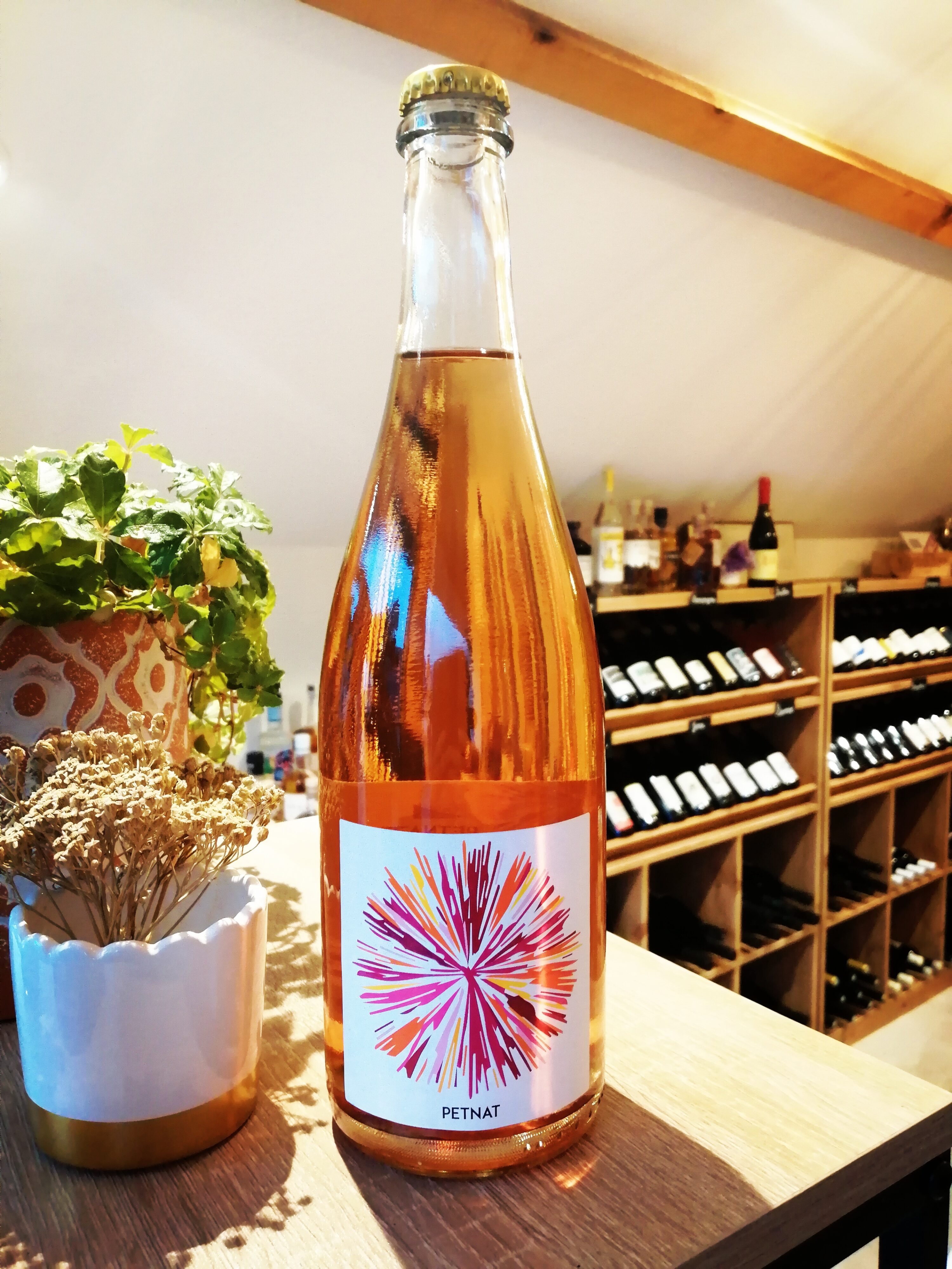 Domaine Plaisance Penavayre - Petnat rosé