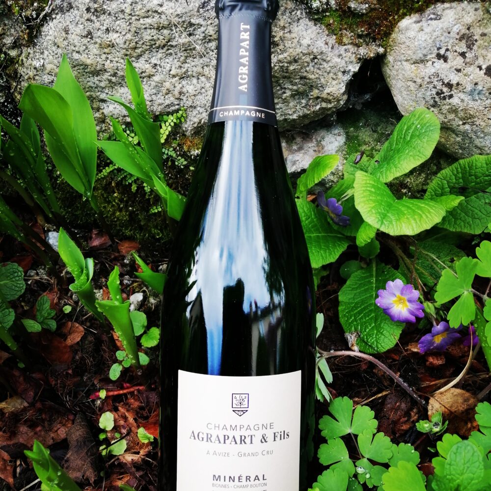 Champagne Agrapart & Fils - Minéral