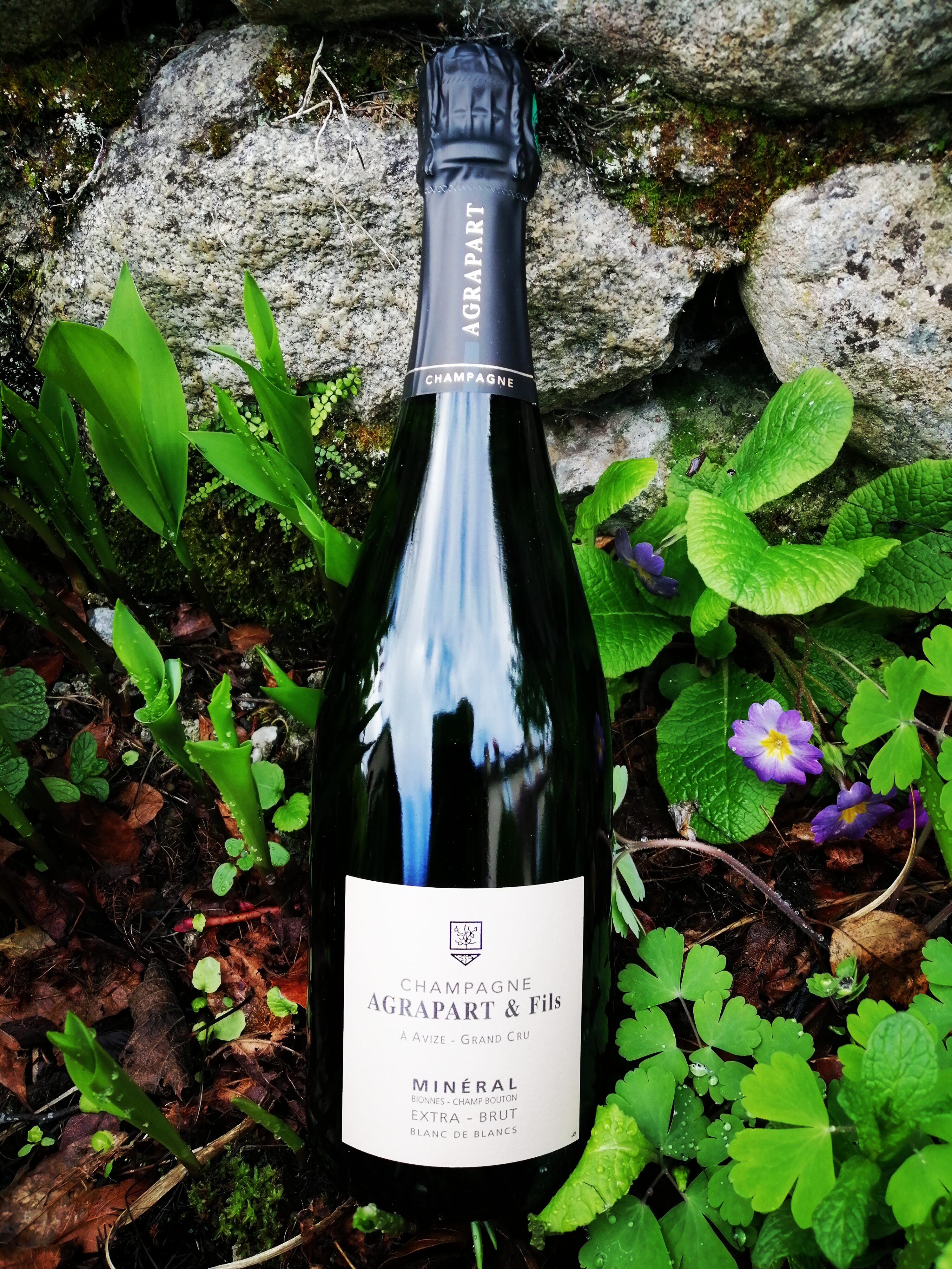 Champagne Agrapart & Fils - Minéral