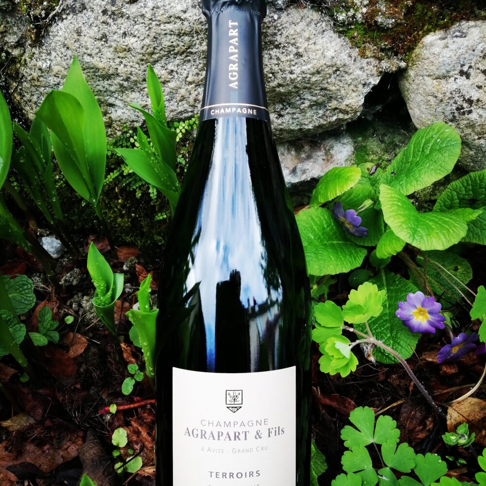 Champagne Agrapart & Fils - Terroirs