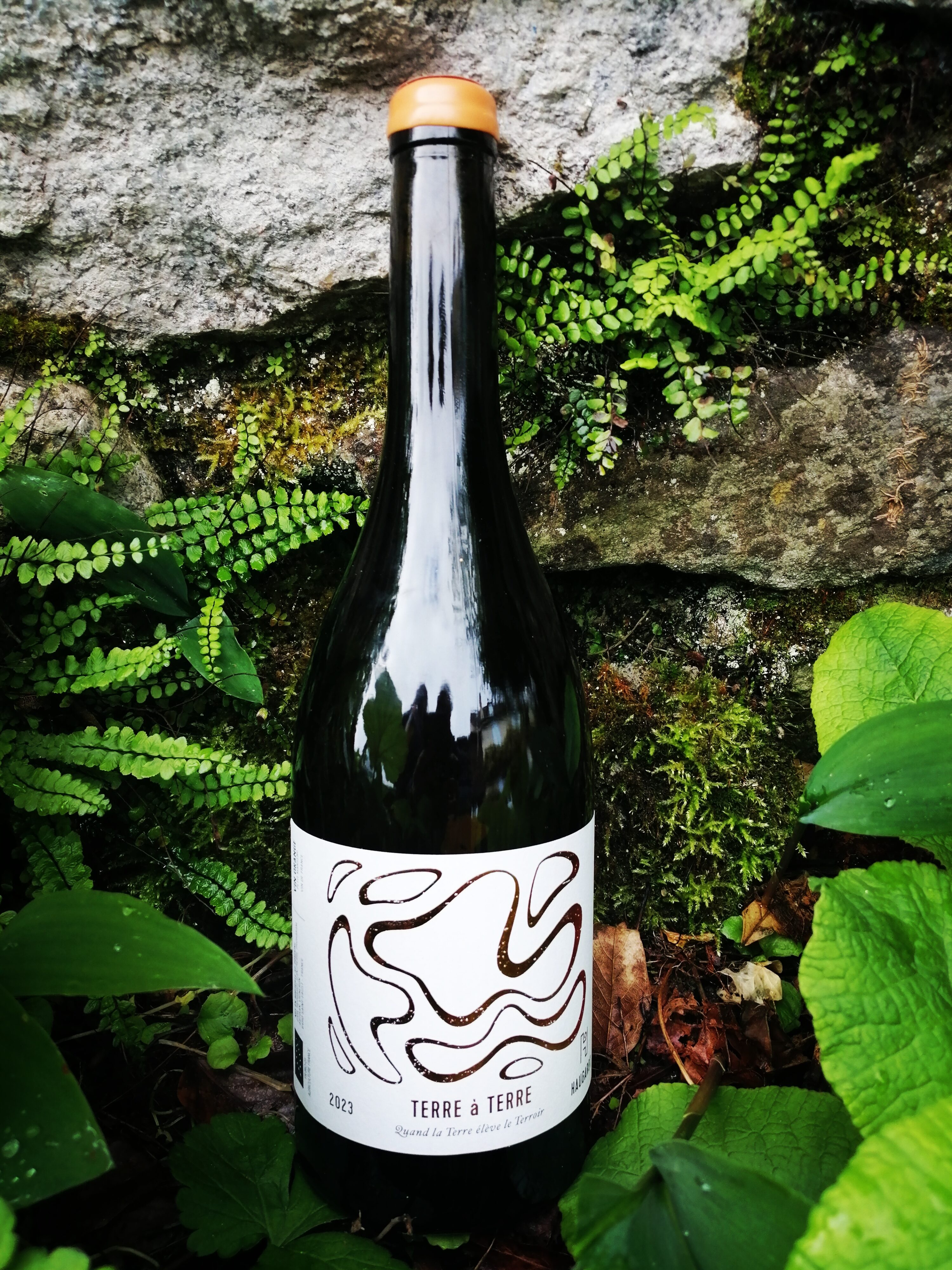 Domaine Haugarot - Terre à Terre
