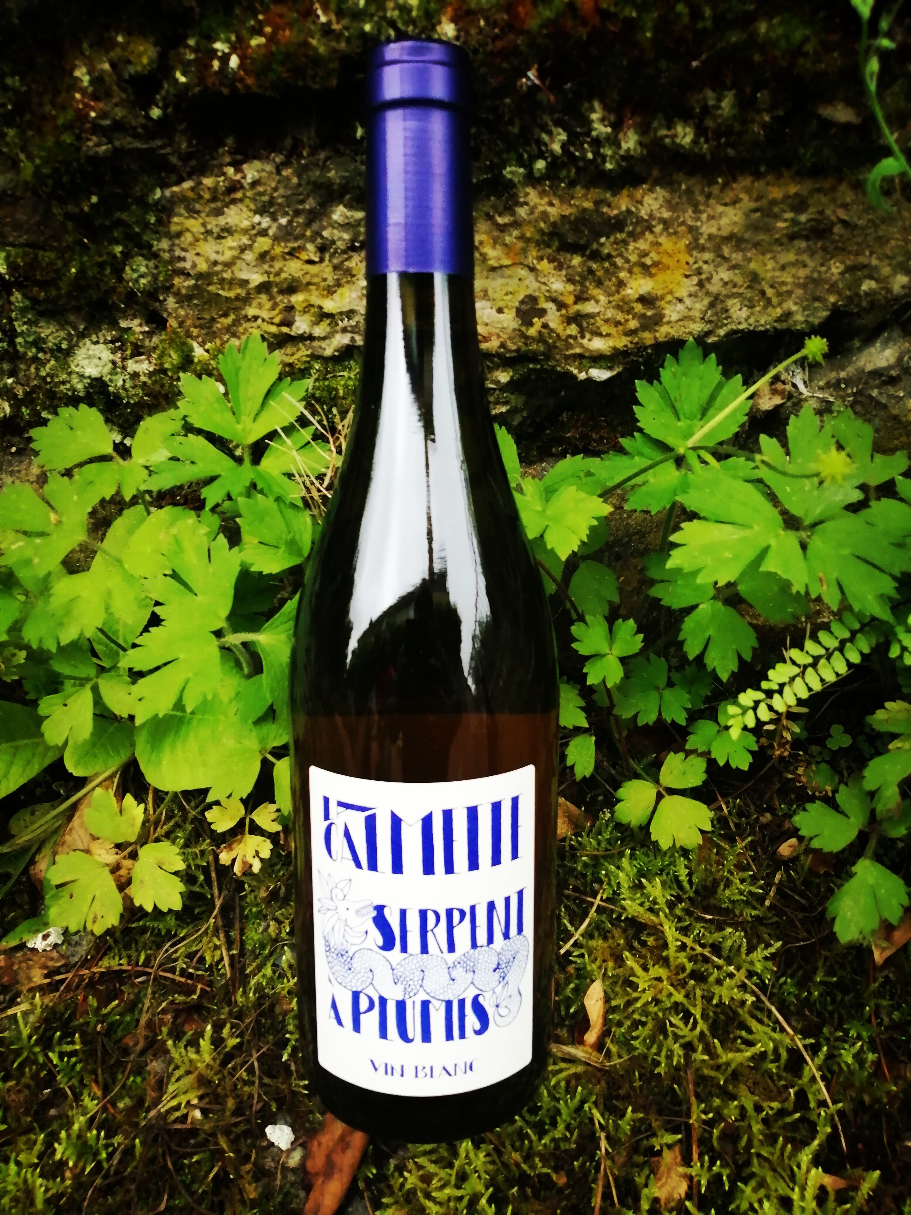 Domaine La Calmette - Serpent à Plumes blanc (uniquement en magasin)