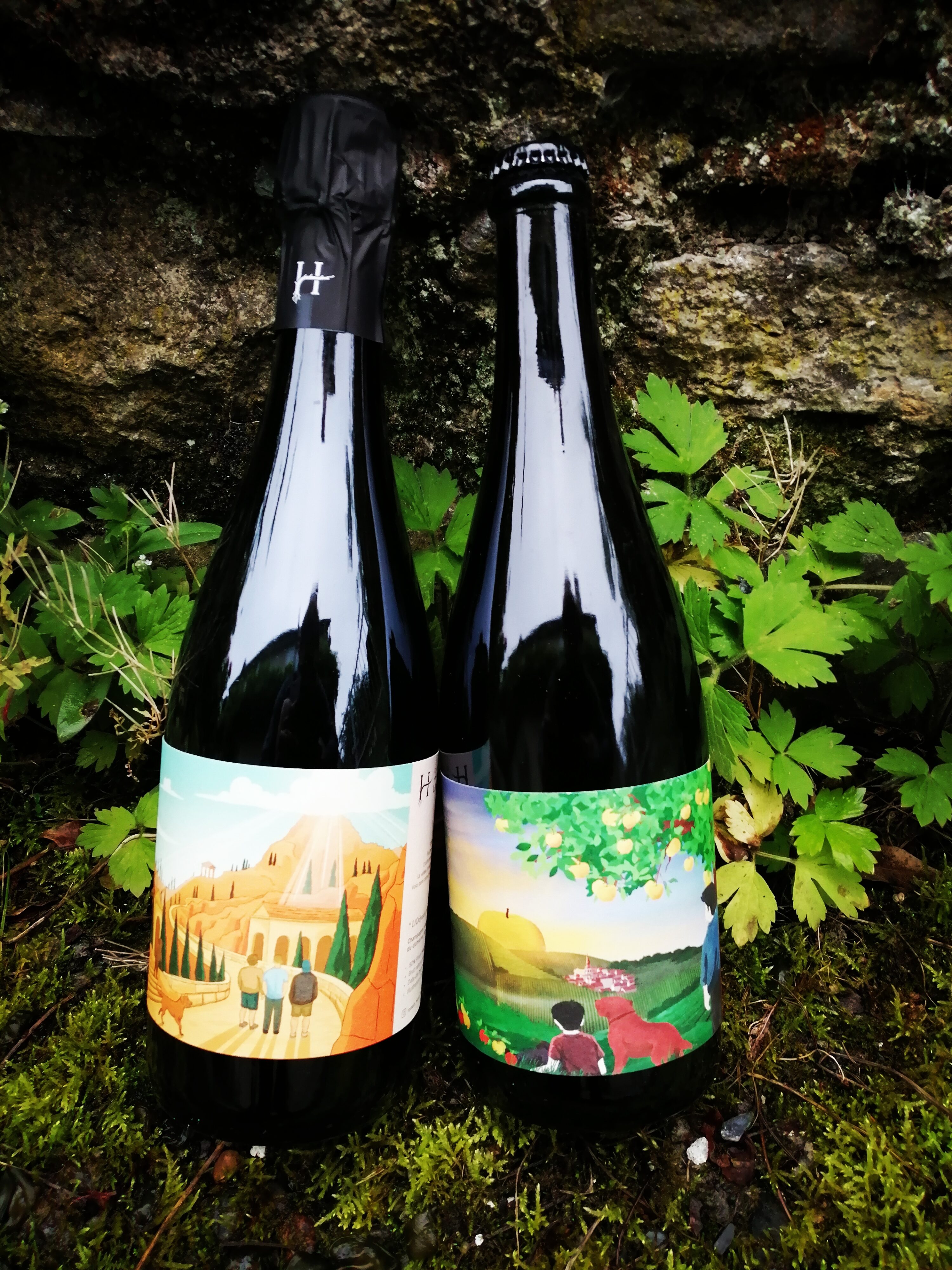Offre Odyssée Pétillante / Korrigans Frères de Pommes (2 bouteilles)