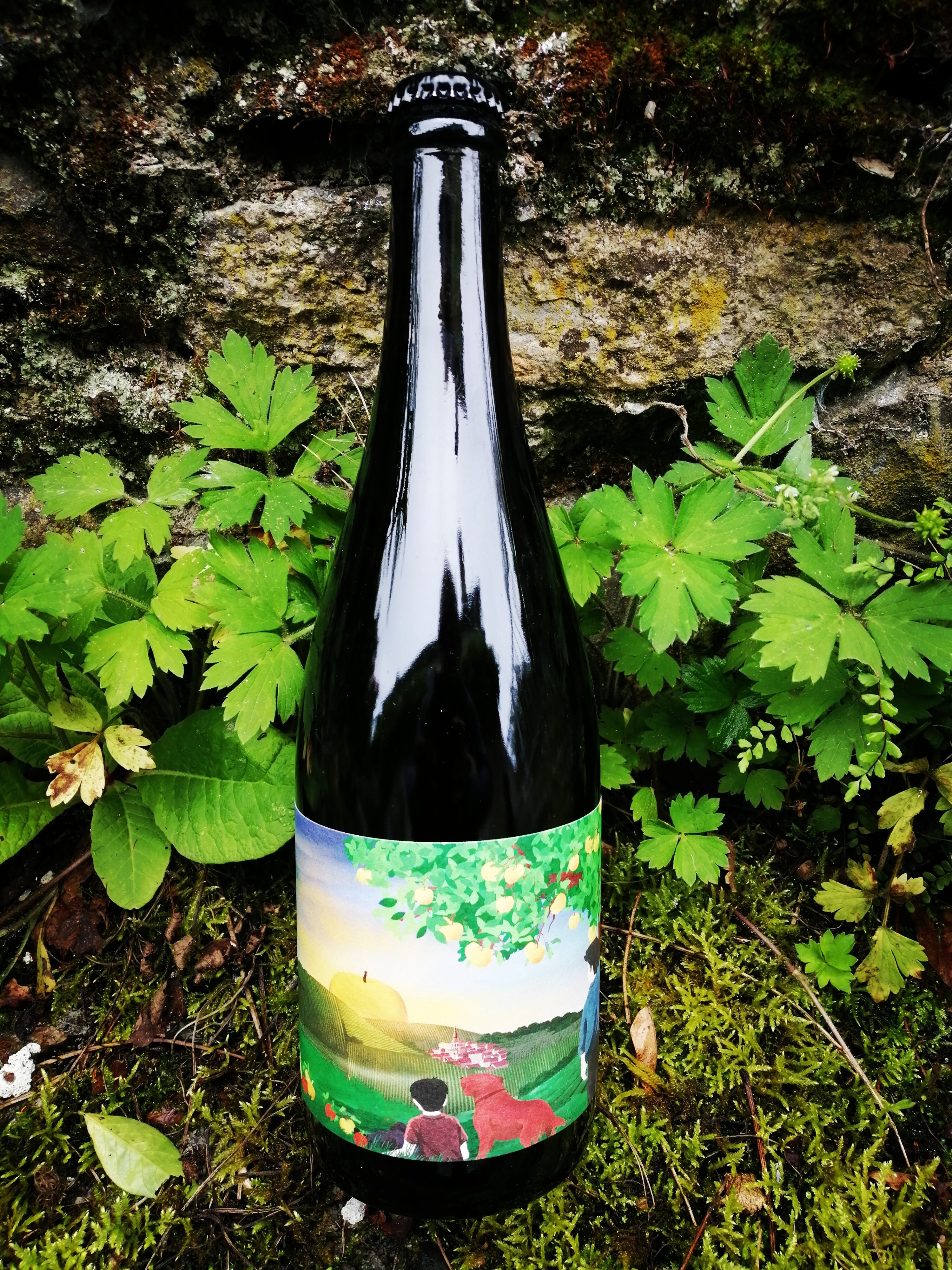 Cidre Korrigans - Frères de Pommes
