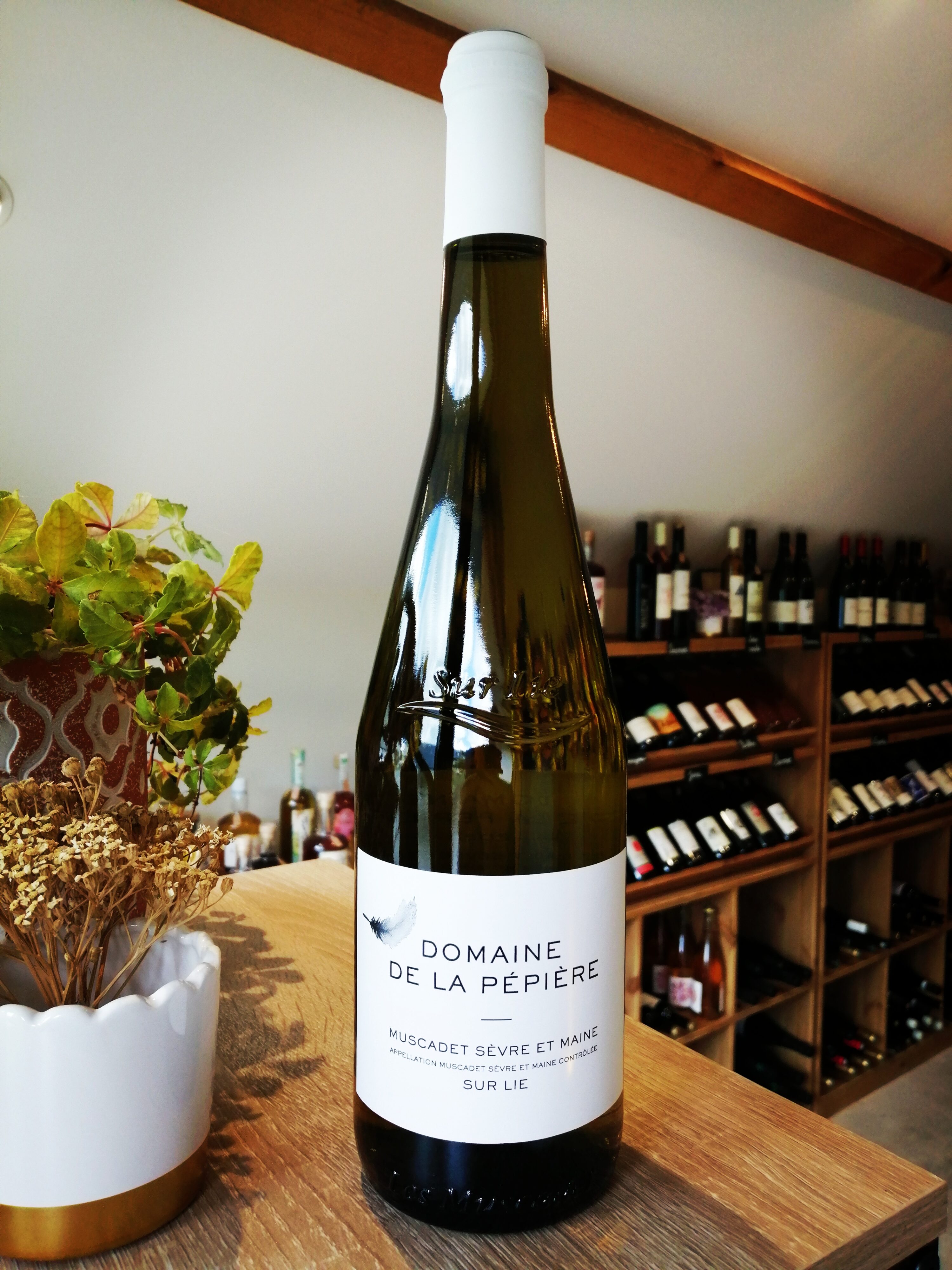 Domaine de la Pépière - Muscadet
