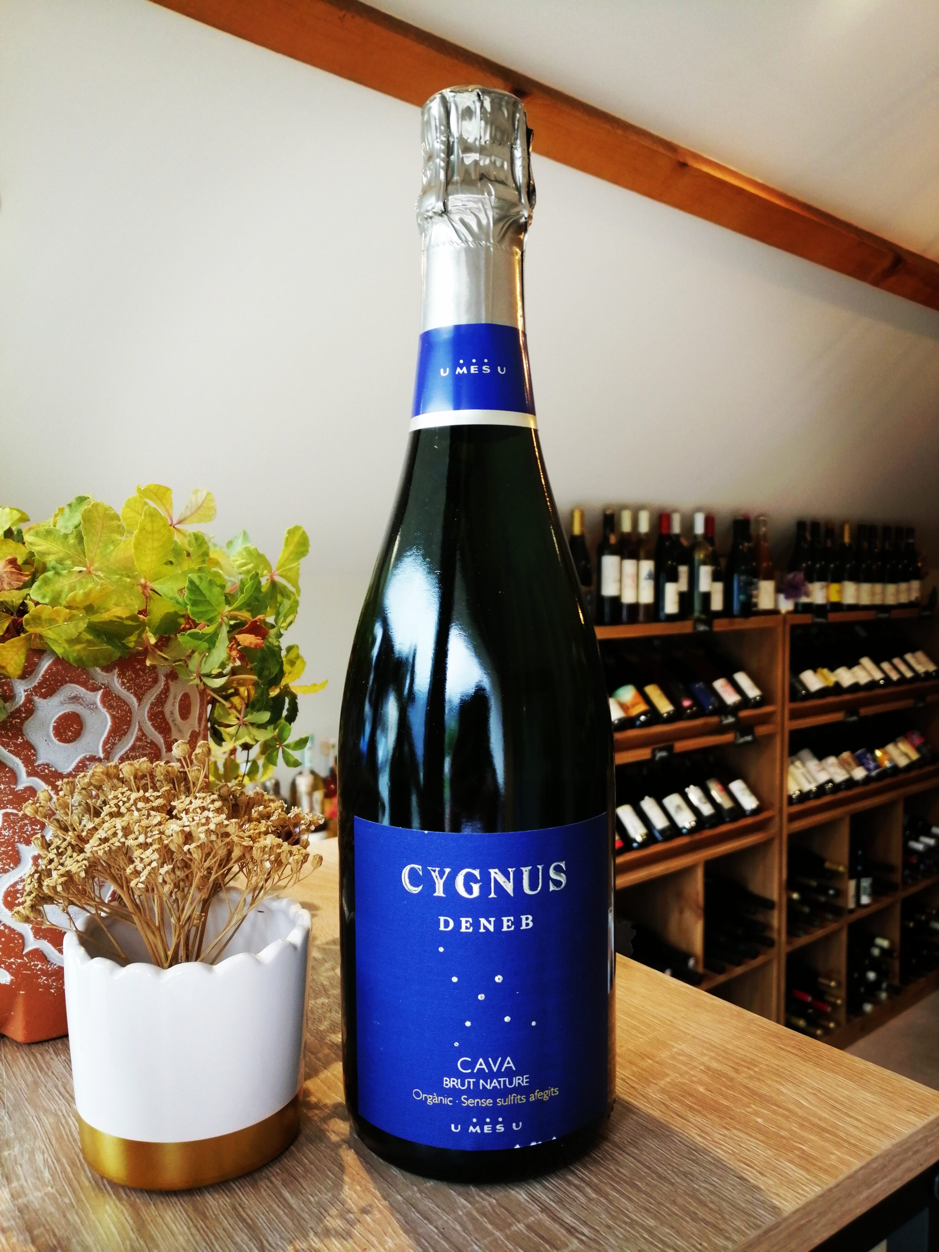 U Mes U - Cave Cygnus Deneb