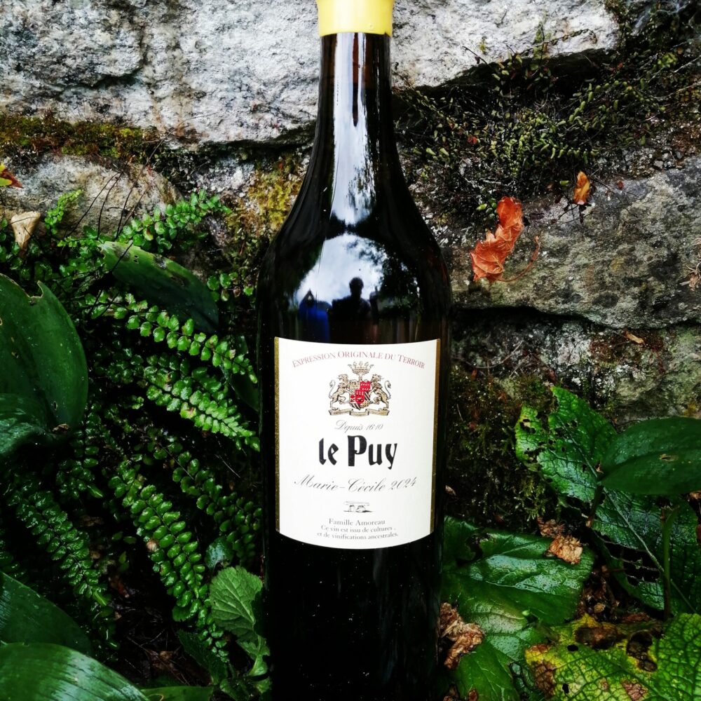 Le Puy - Marie-Cécile 2024