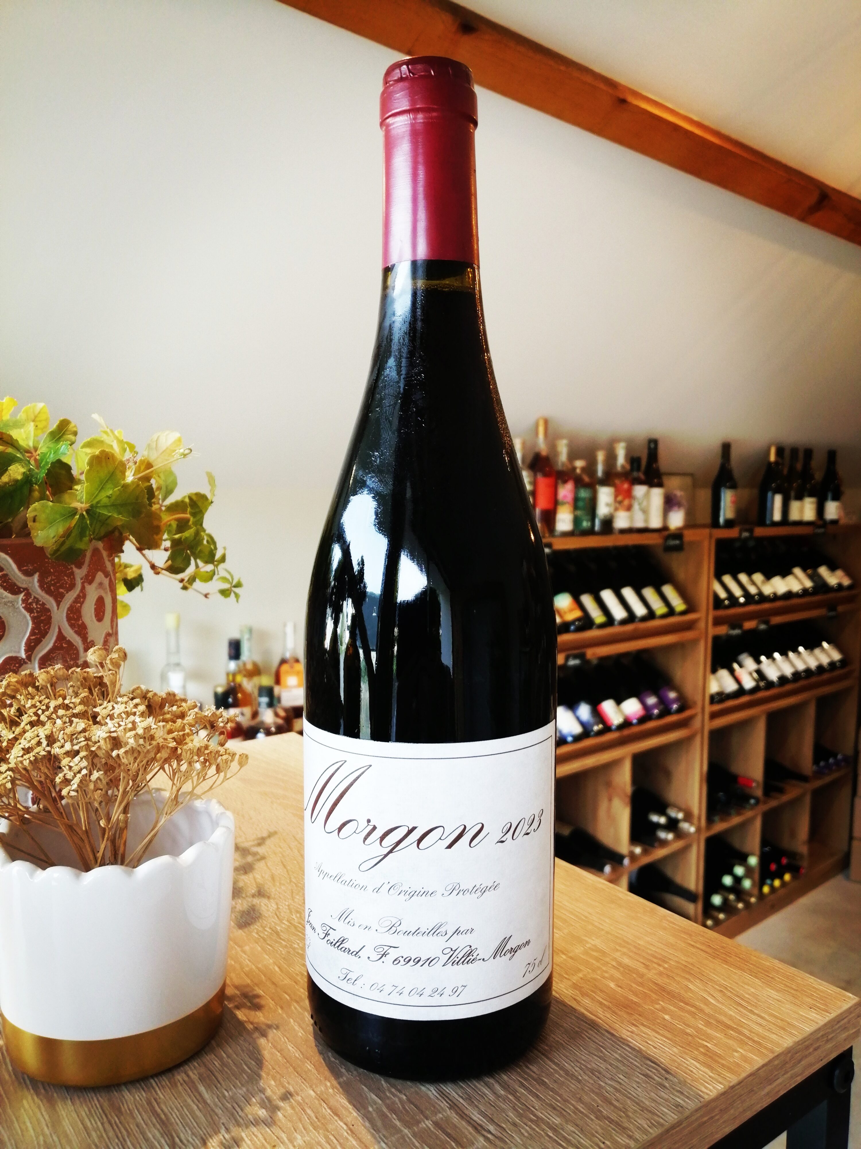 Jean Foillard - Morgon 2023