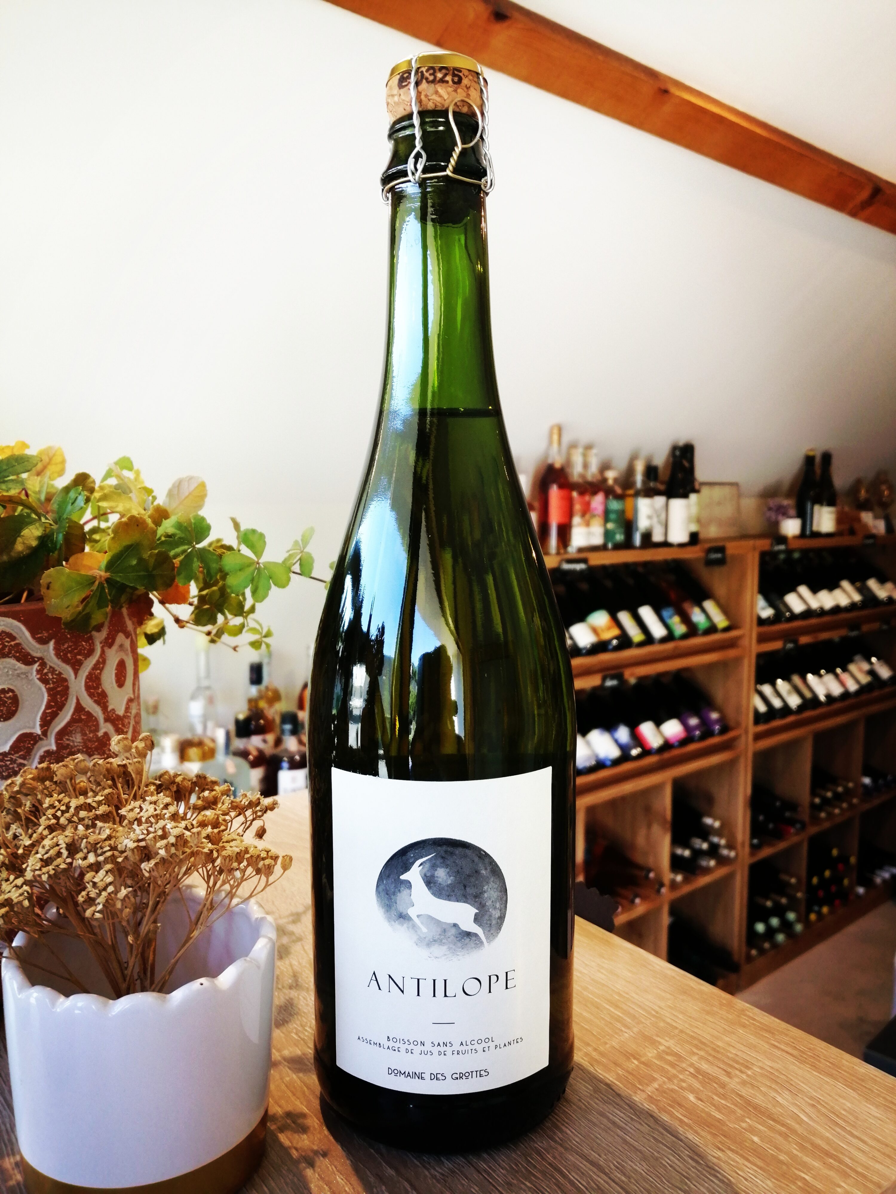 Domaine des Grottes - Antilope