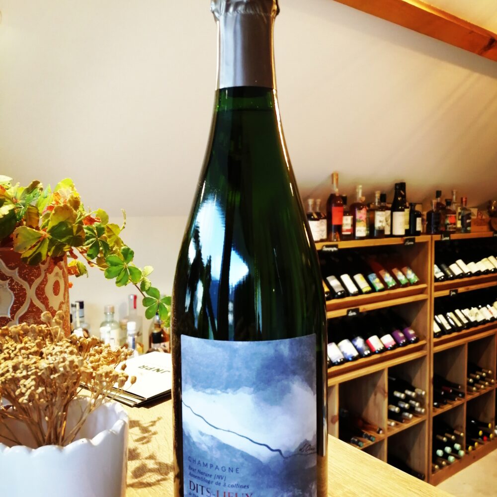 Champagne Pierre Brocard - Brut NV Tradition