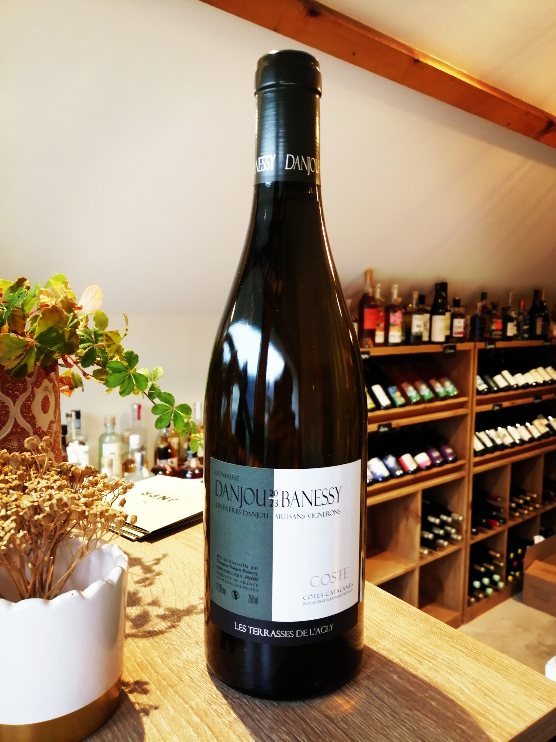 Domaine Danjou-Banessy - Coste 2023