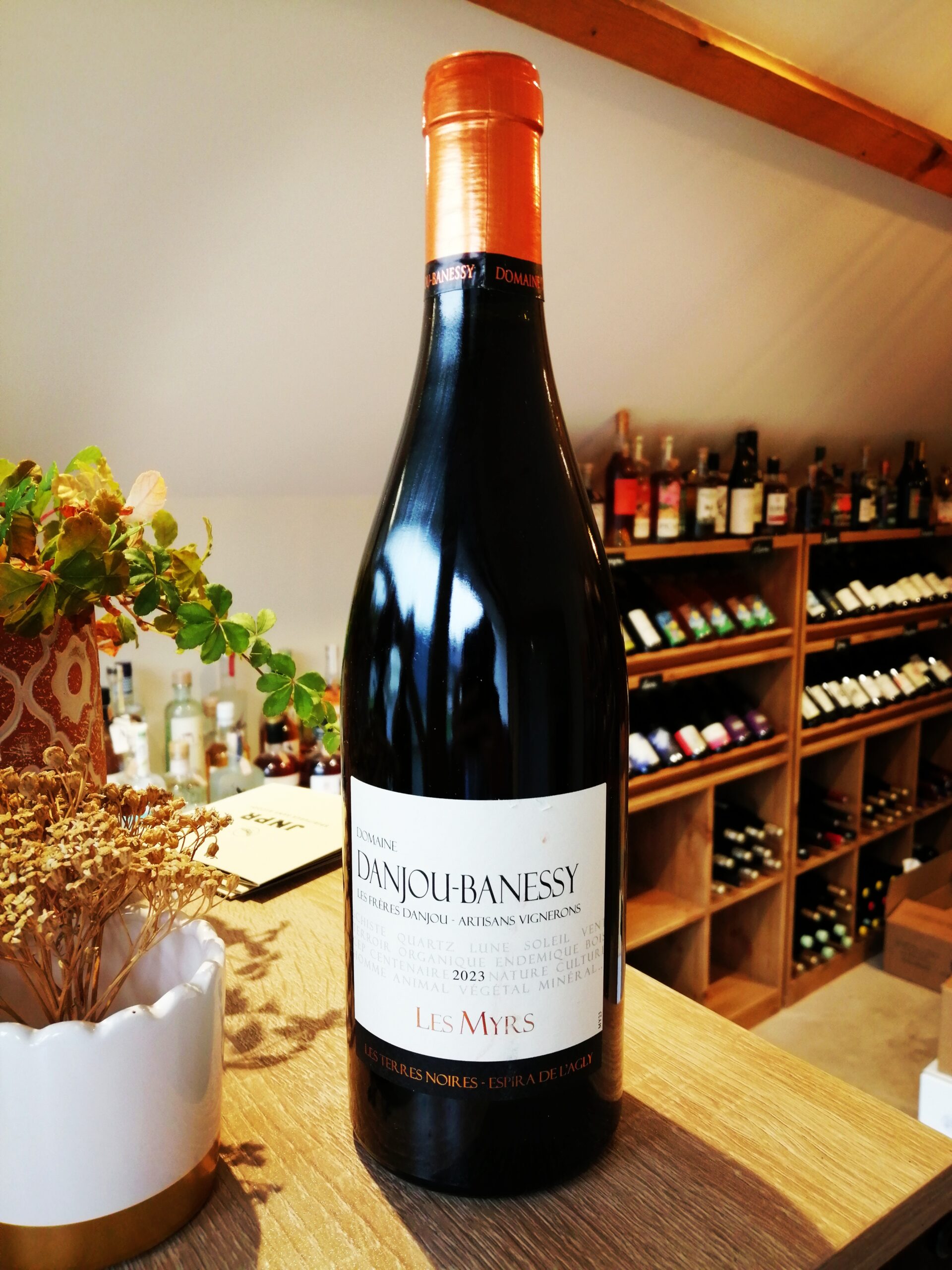 Domaine Danjou-Banessy - Les Myrs 2023