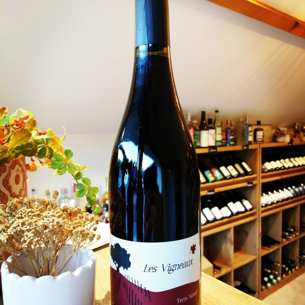 Les Vigneaux - Terre Natale