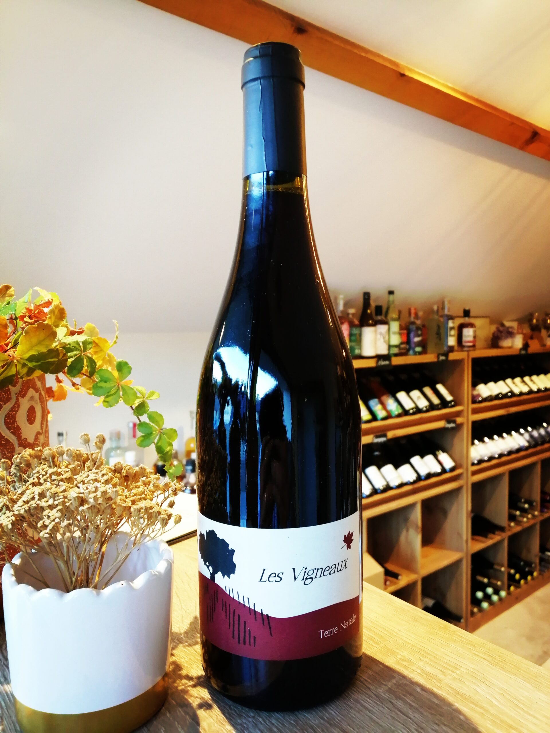 Les Vigneaux - Terre Natale