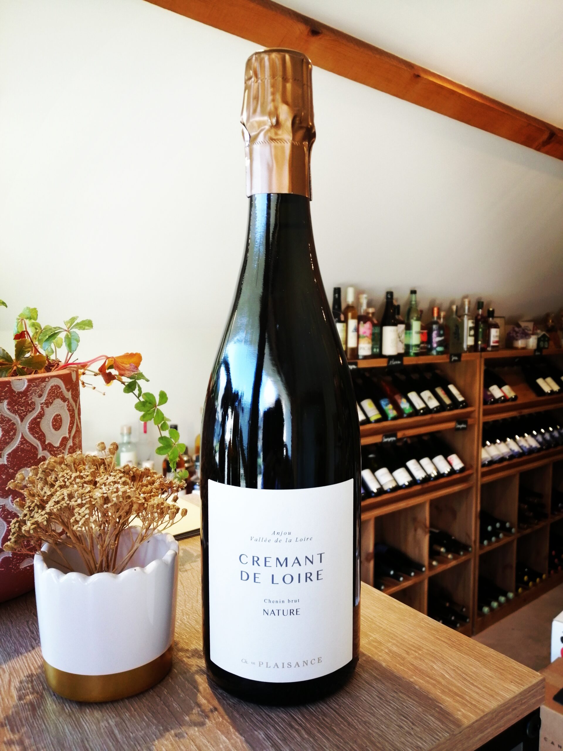 Château de Plaisance - Crémant de Loire