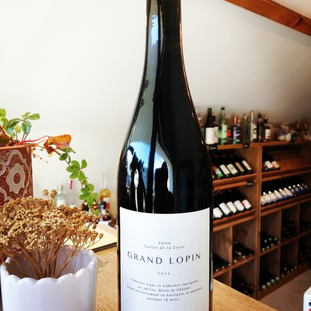 Château de Plaisance - Grand Lopin