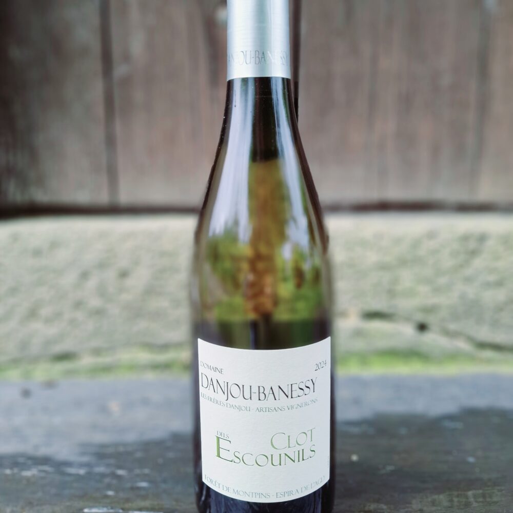 Domaine Danjou-Banessy - Clot dels Escounils 2024 (uniquement en magasin)