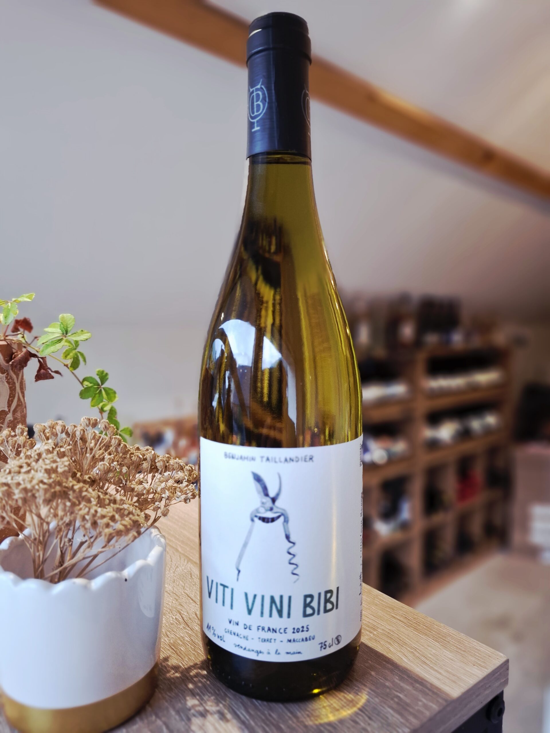 Domaine Benjamin Taillandier - Viti Vini Bibi blanc
