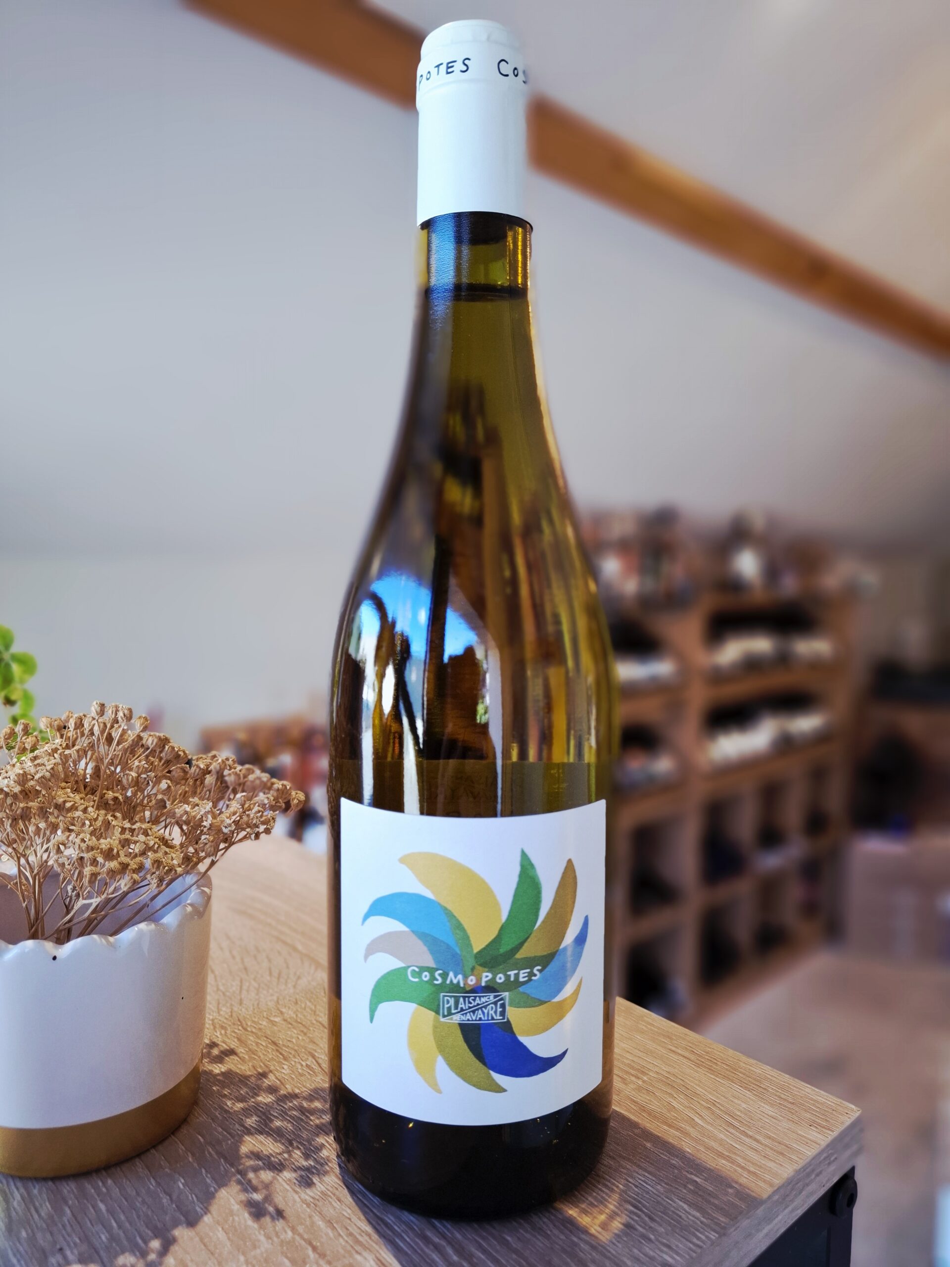 Plaisance - Cosmopotes blanc